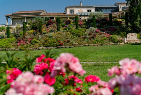 visit and wine tasting in Saint Emilion