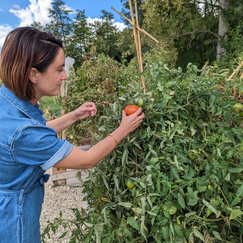 engagement environnemental potager vignoble