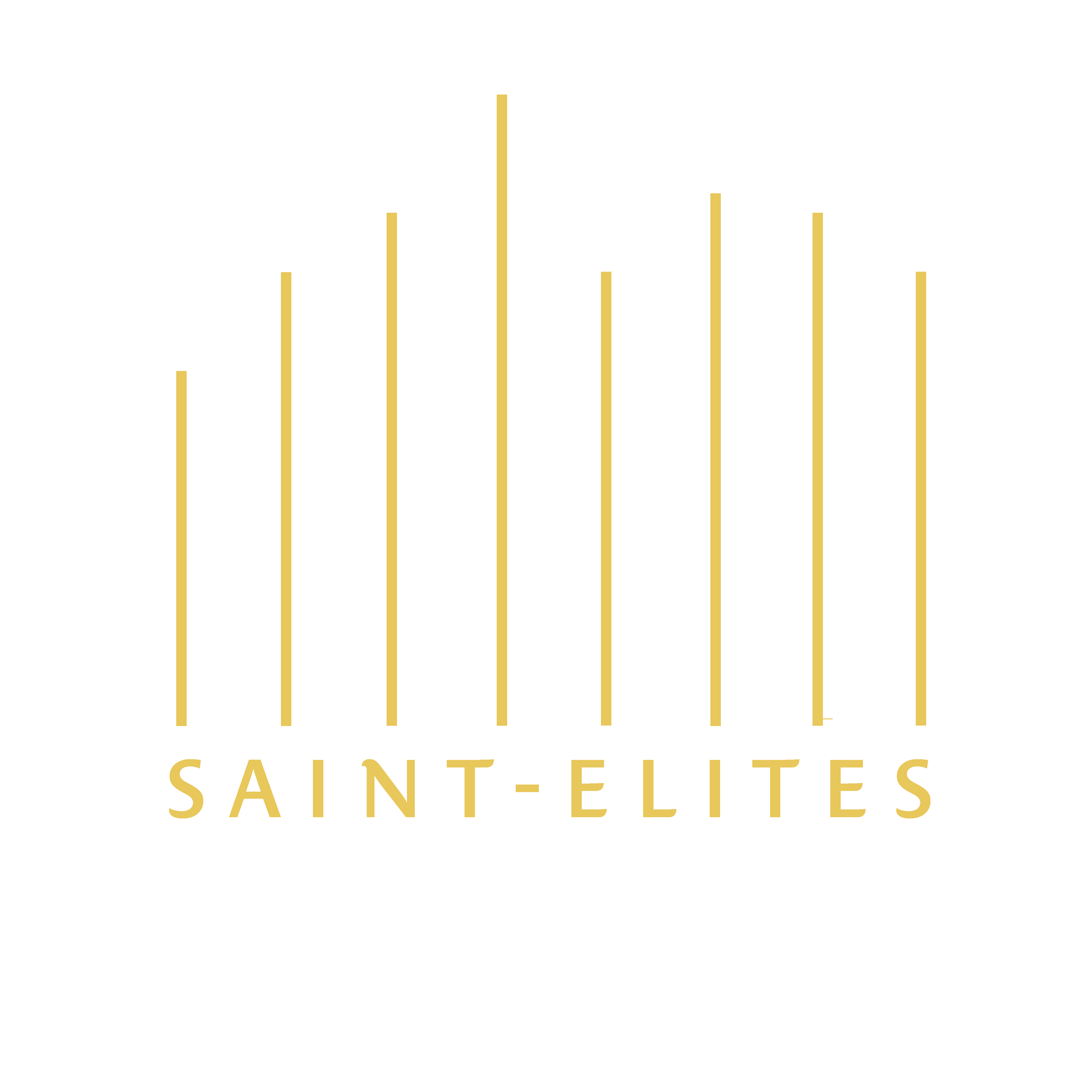 logo saint elites