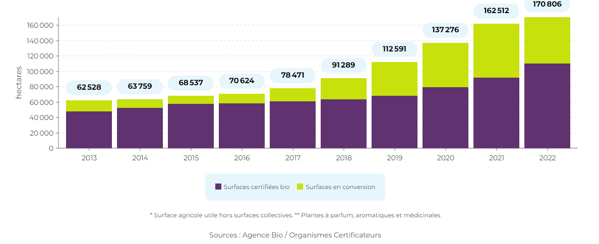 Graphique de l'évolution croissante des surfaces en viticulture bio de puis 2013.