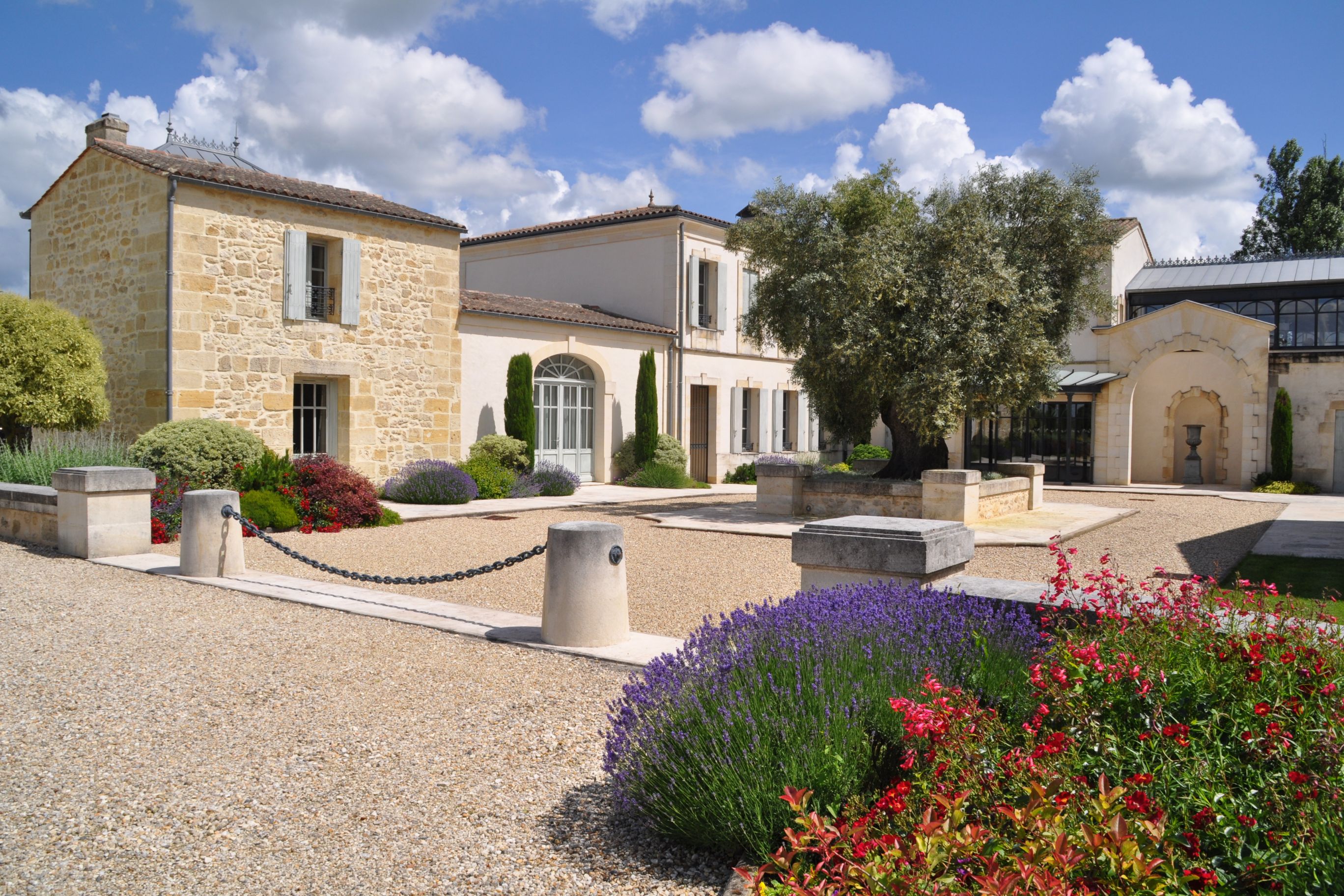 Vue du gîte entouré de fleurs et de l’imposant olivier à l’entrée du château La Rose Perrière à Lussac