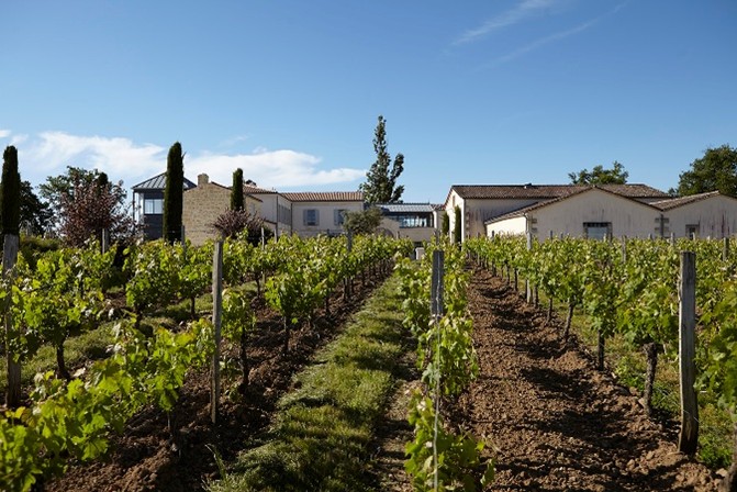 sol et vigne sur une parcelle au ch&acirc;teau La Rose Perri&egrave;re
