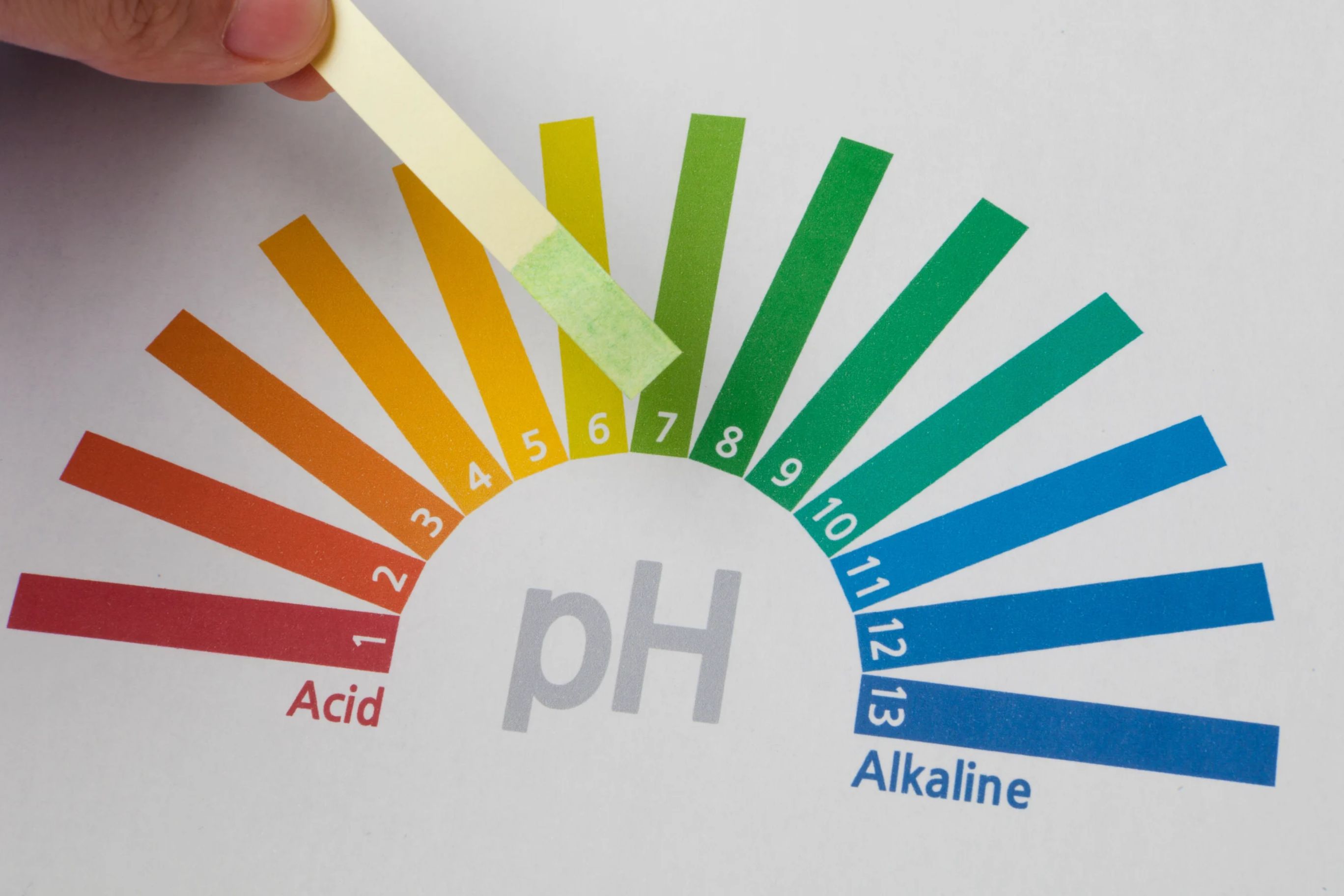 Test de pH sur bandelette de Acide &agrave; Alcaline 