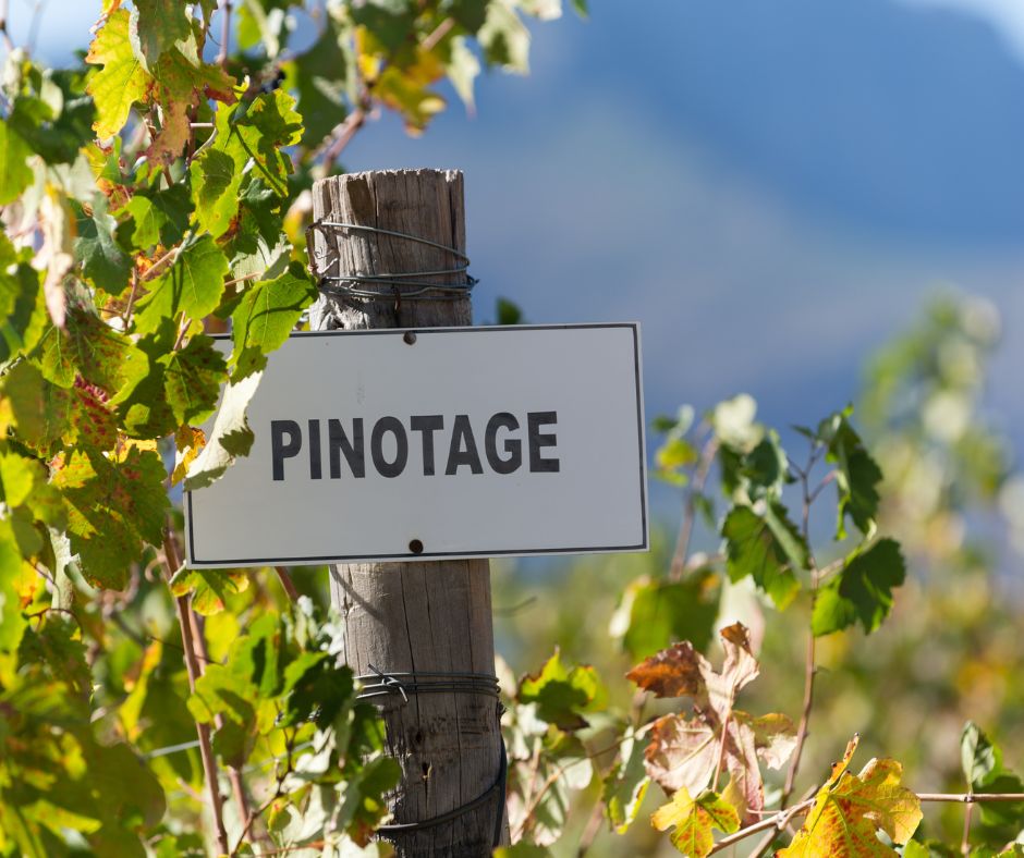 Panneau de signalisation d’une parcelle de Pinotage en Afrique du Sud