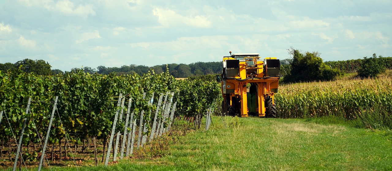 machine de vendanges mécaniques 