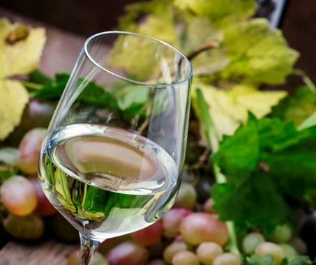 Verre de vin blanc – Sauvignon  Blanc