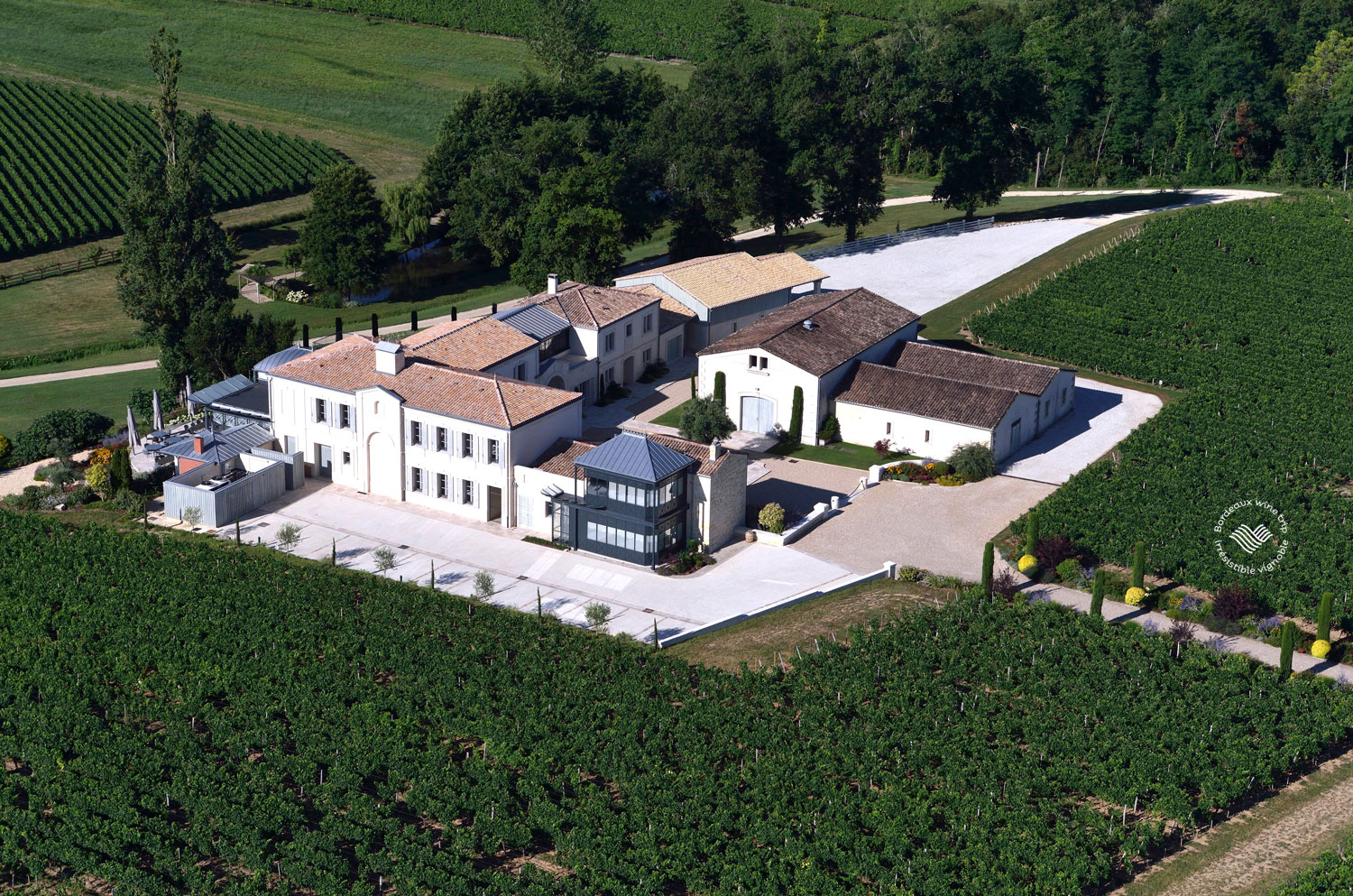 vignes la rose perriere lussac saint emilion