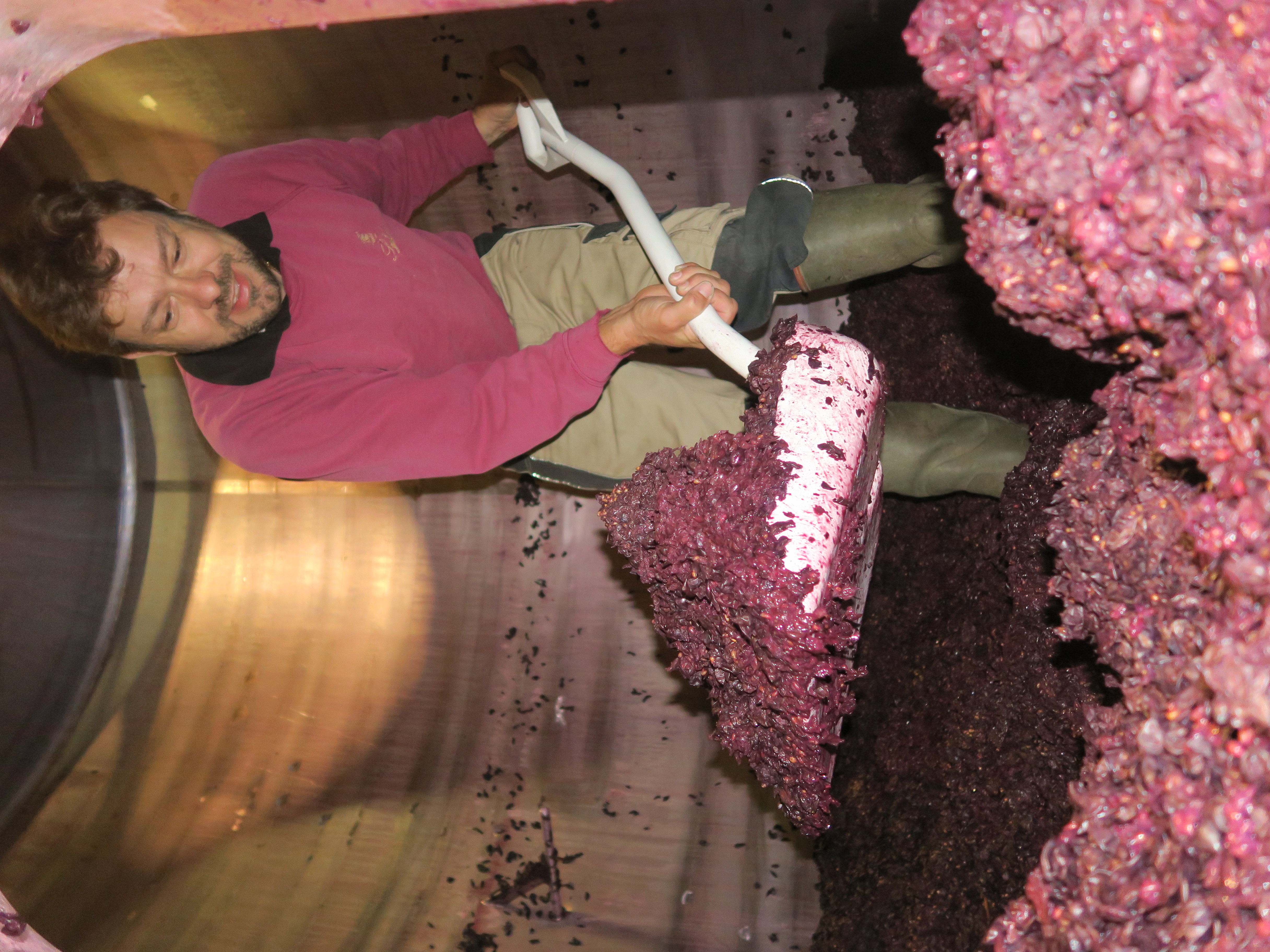 decuvage d une cuve en inox dans le chai du chateau la rose perriere