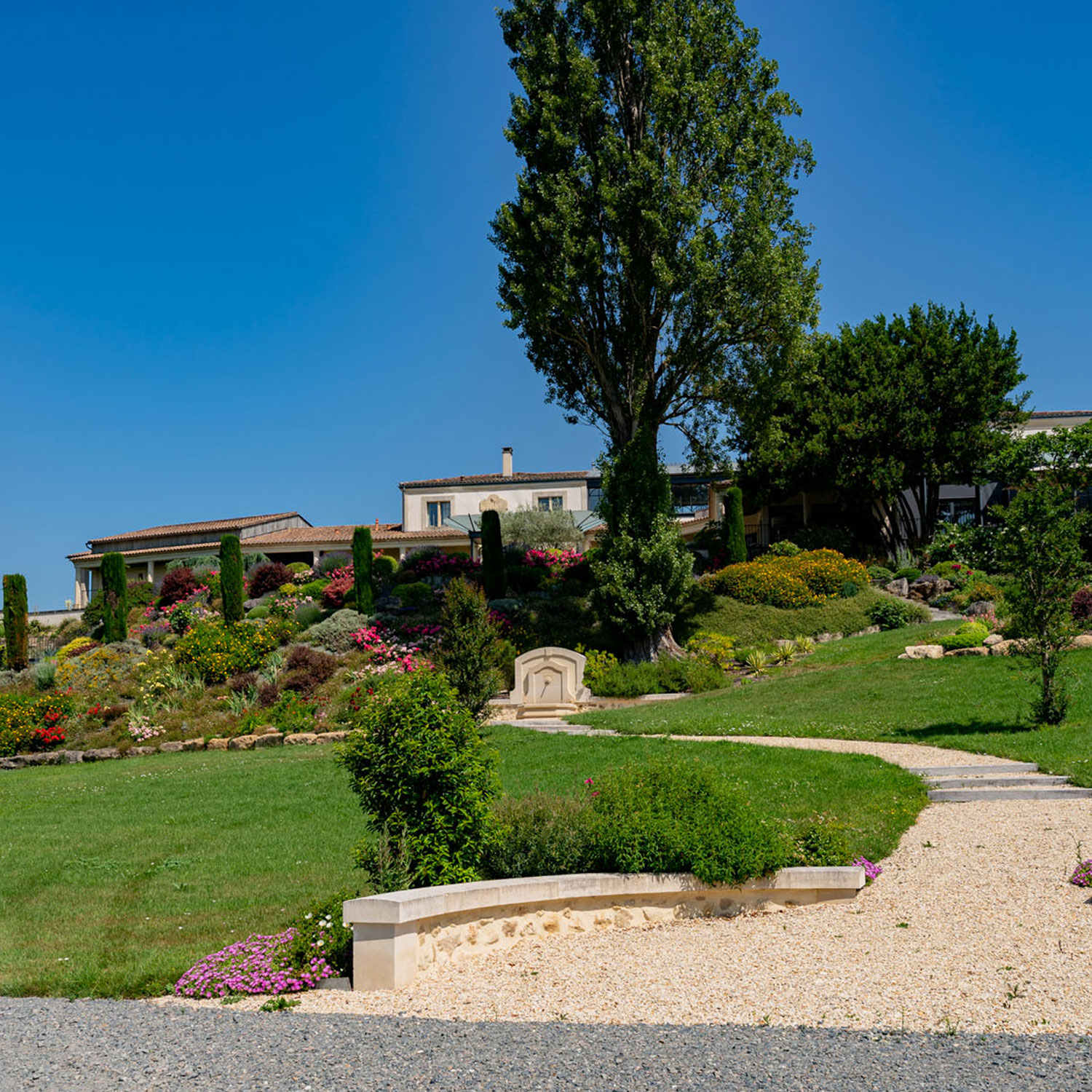 visite vignoble et degustation de vin saint emilion