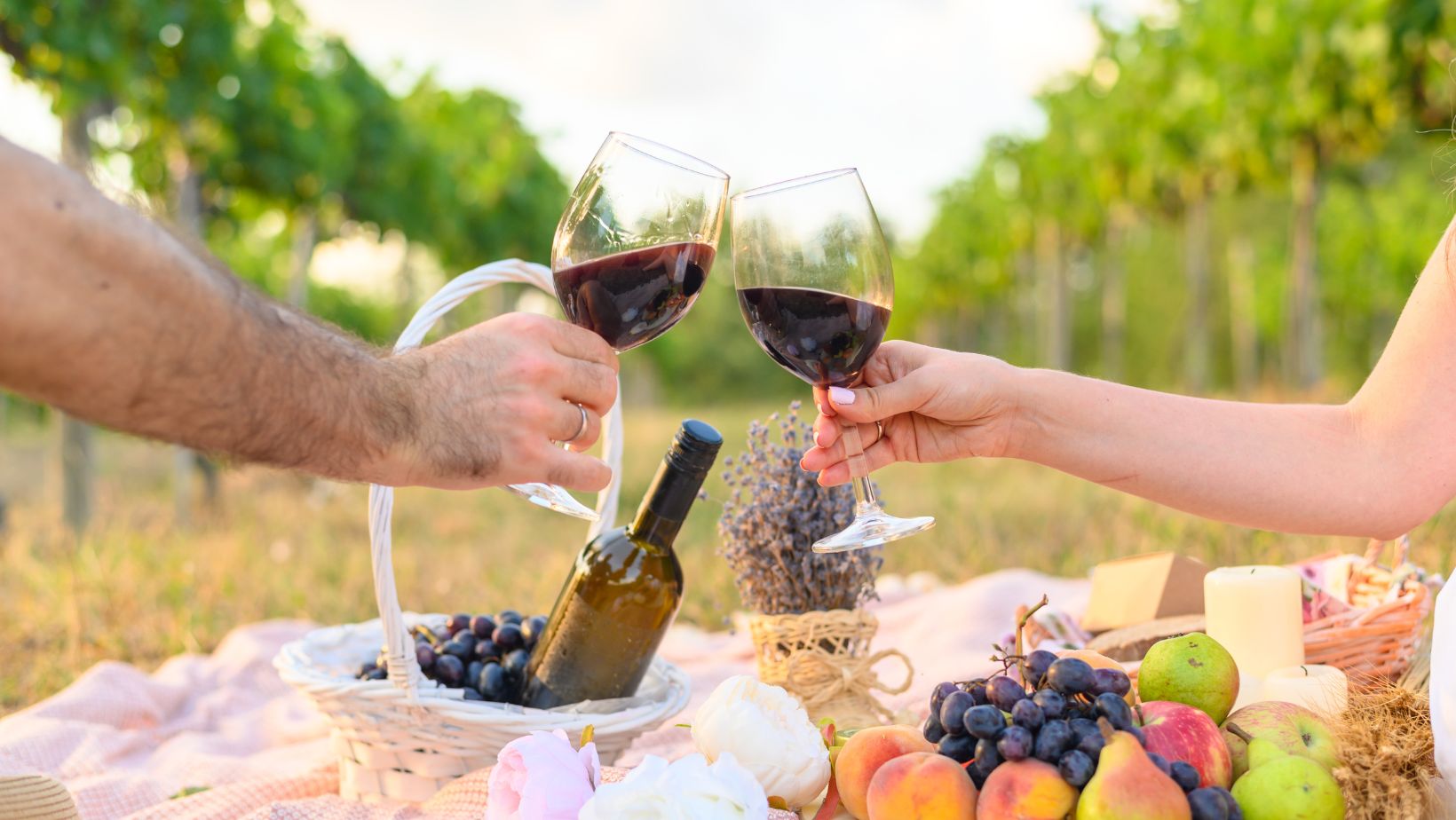 Deux personnes trinquent avec du vin rouge au milieu d’un rang de vigne pendant un pique-nique.