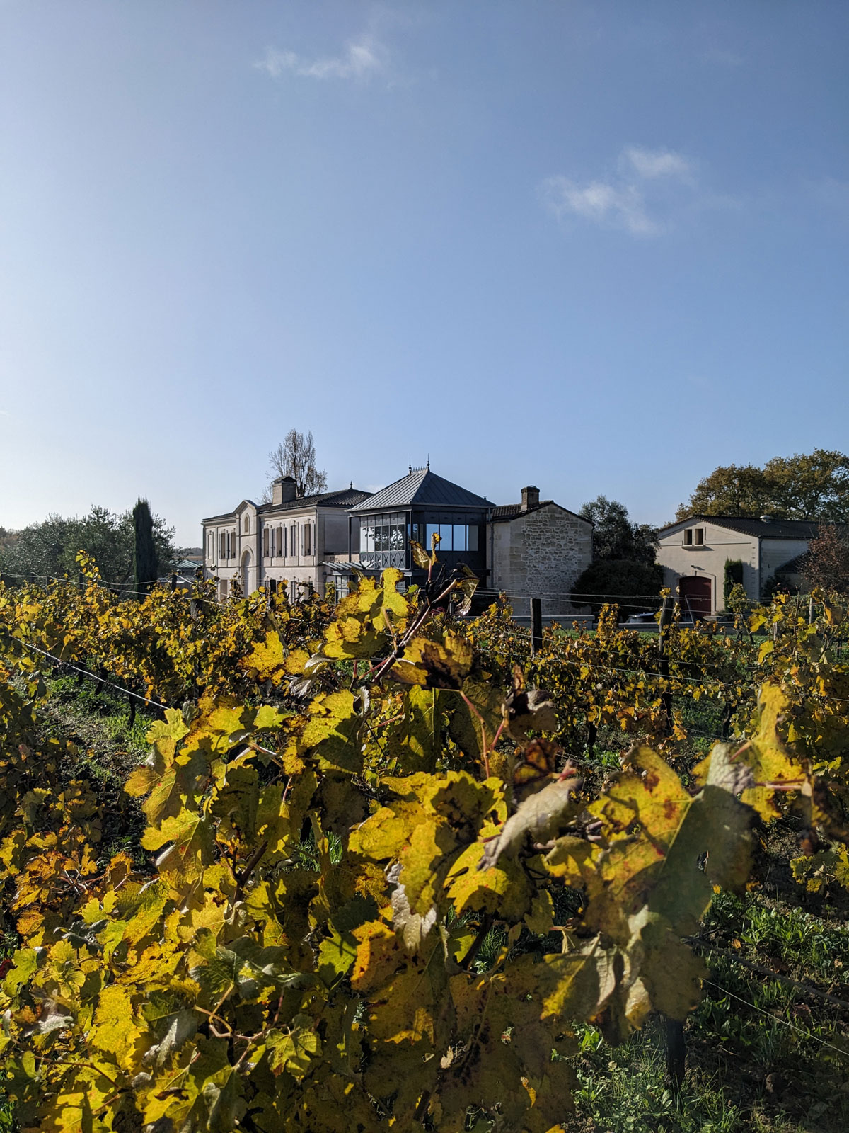 Le chateau la Rose Perriere et ses vignes en automne