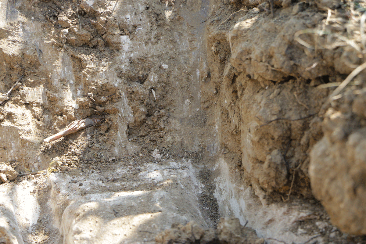 Sol argilo-calcaire du vignoble de Lussac Saint-Emilion