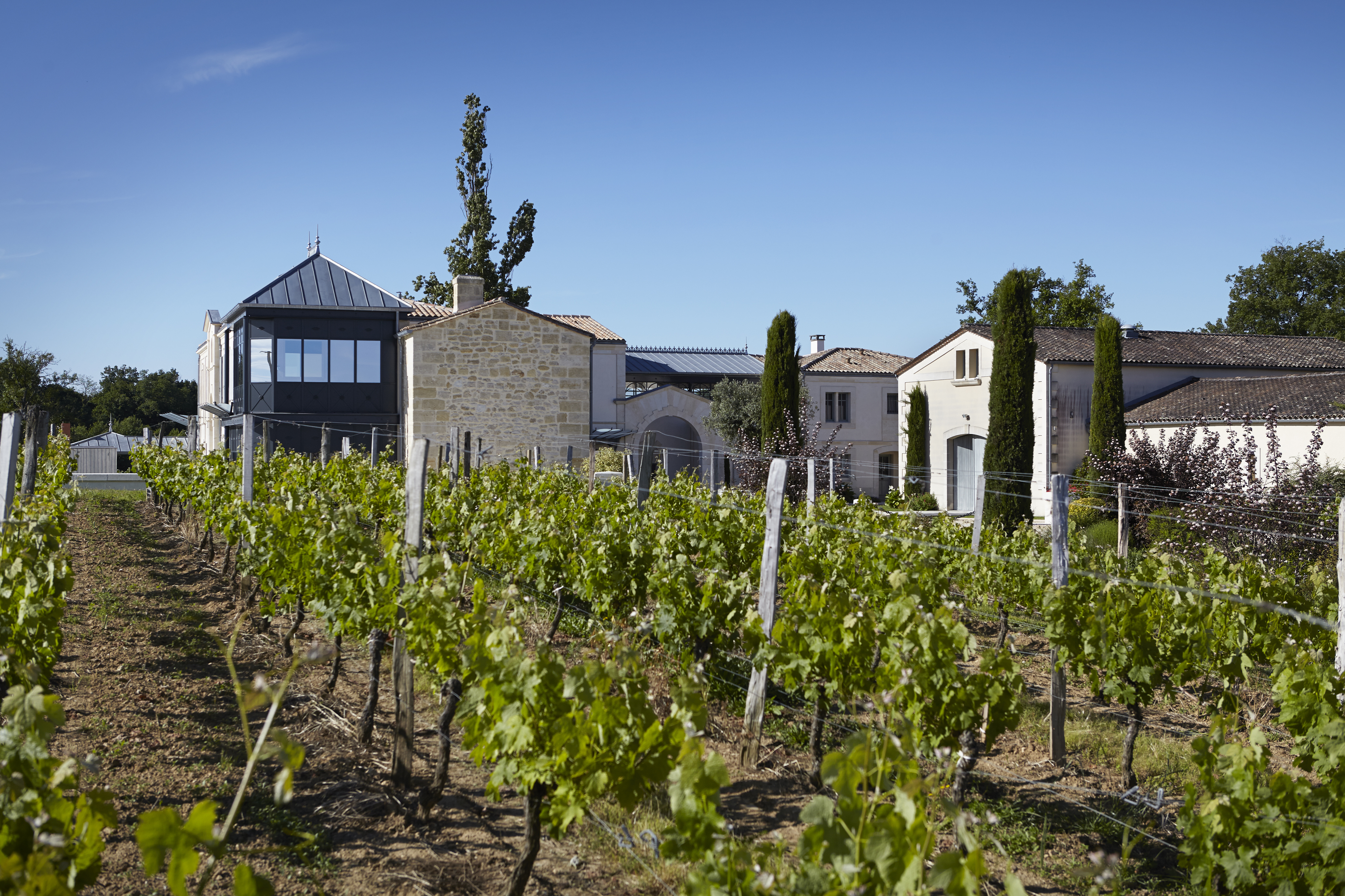 Vineyard La Rose Perriere