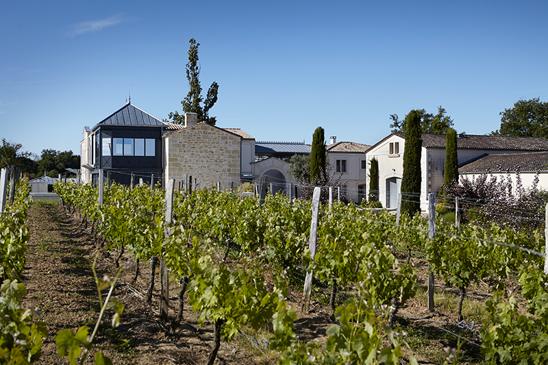 vignoble saint emilion